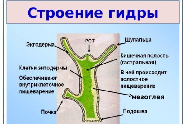 Кракен тг маркетплейс