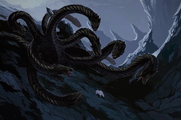 Kraken найдется все